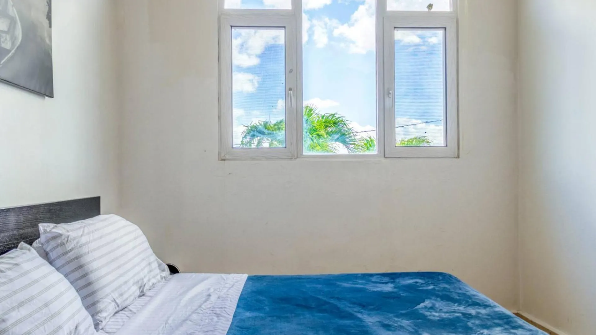 Steps To Ocean Park Beach | Terrace | Parking San Juan Apartament
